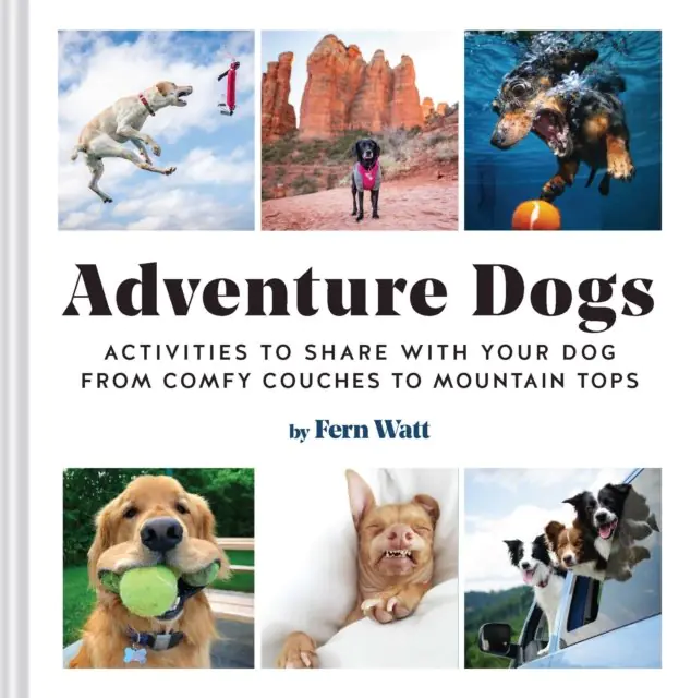 Książka - Adventure Dogs: Activities to Share with Your Dog-from Comfy Couches to Mountain Tops