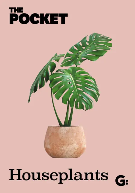 Książka - The Pocket Houseplants