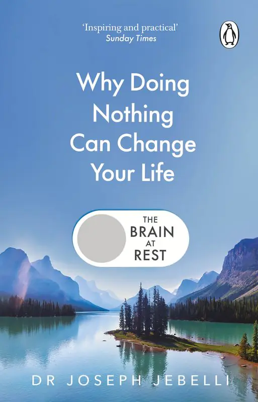 Książka - The Brain at Rest. Why doing nothing can change your life