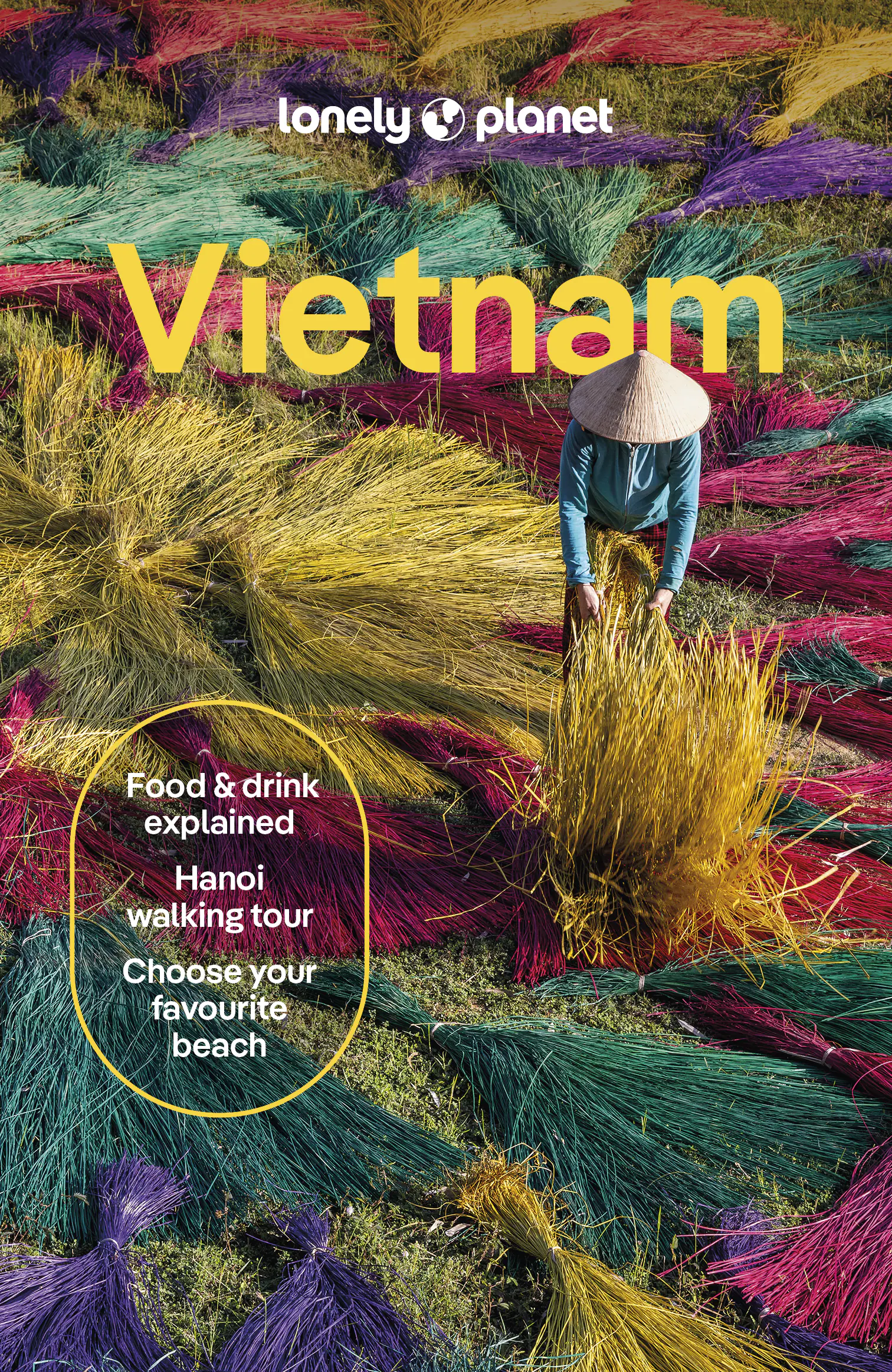 Książka - Vietnam. Lonely Planet