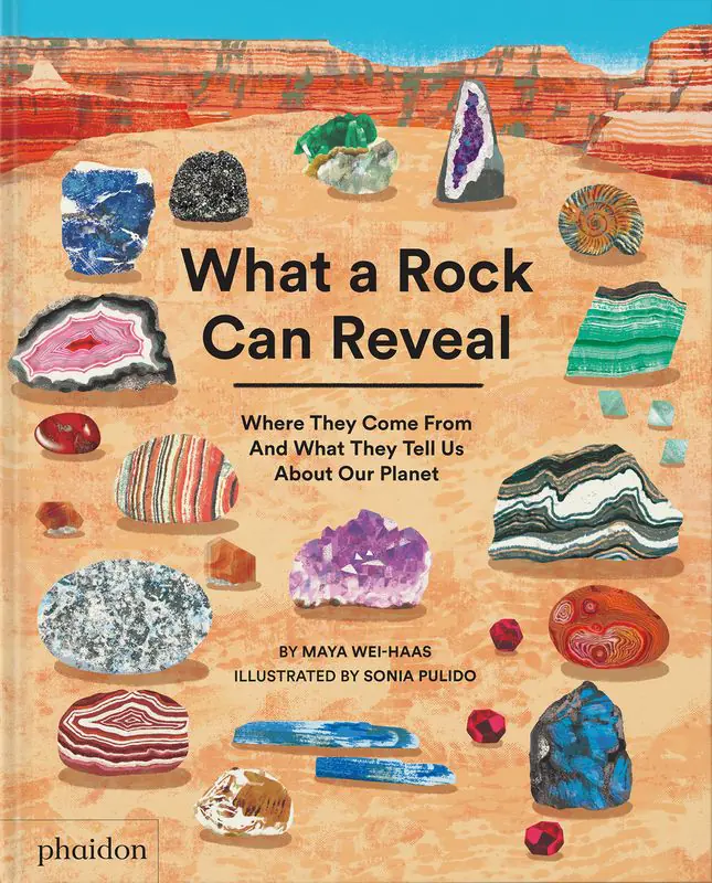 Książka - What a Rock Can Reveal. Where They Come From And What They Tell Us About Our Planet
