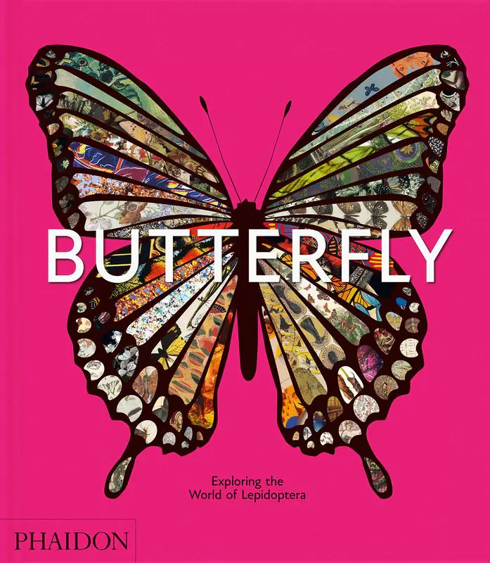 Książka - Butterfly. Exploring the World of Lepidoptera