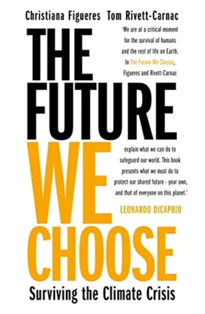 Książka - The Future We Choose: Everyone should read this book MATT HAIG