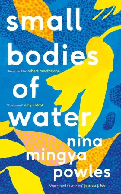 Książka - Small Bodies of Water