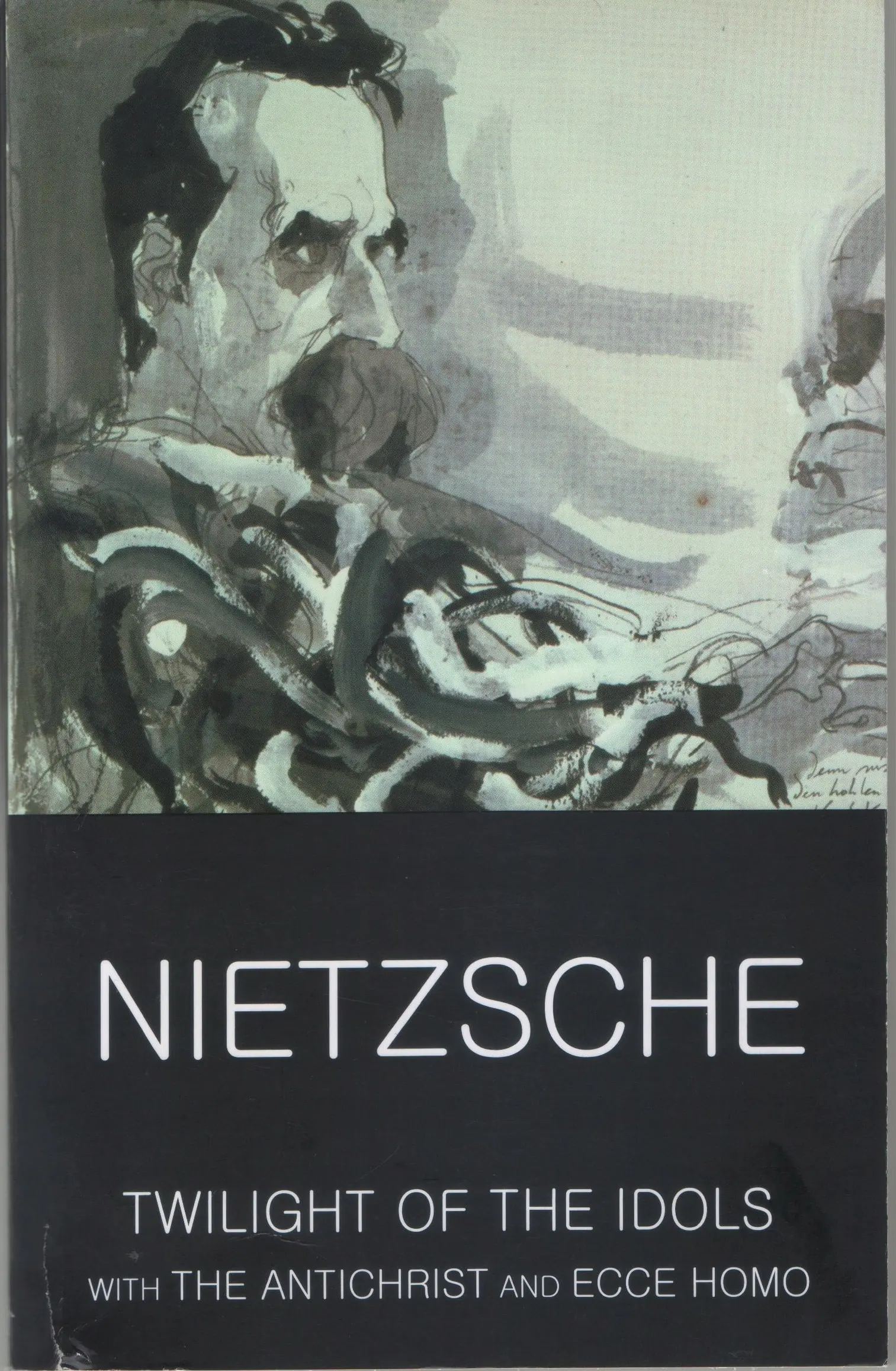 Książka - Twilight of the Idols with The Antichrist and Ecce Homo