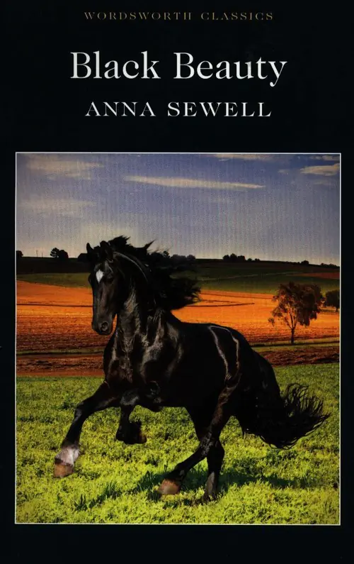Książka - Black Beauty