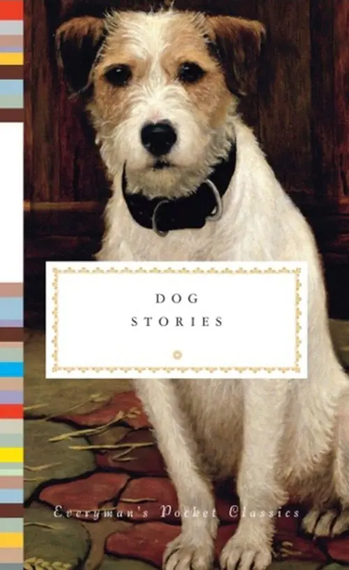 Książka - Dog Stories