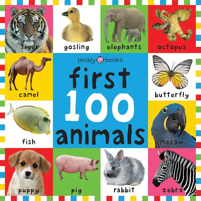 Książka - First 100 Animals