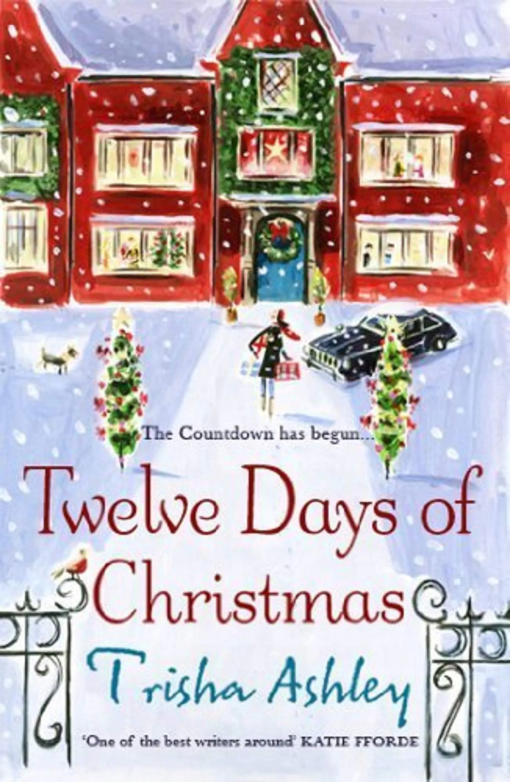 Książka - Twelve Days of Christmas
