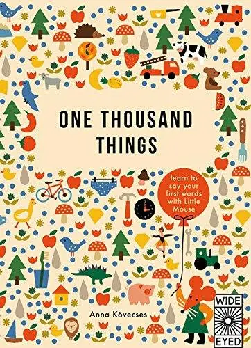 Książka - One Thousand Things