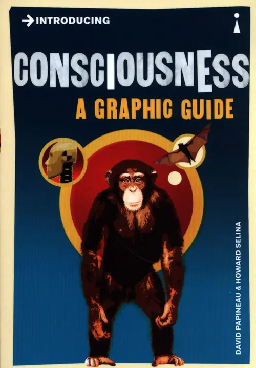 Książka - Introducing Consciousness