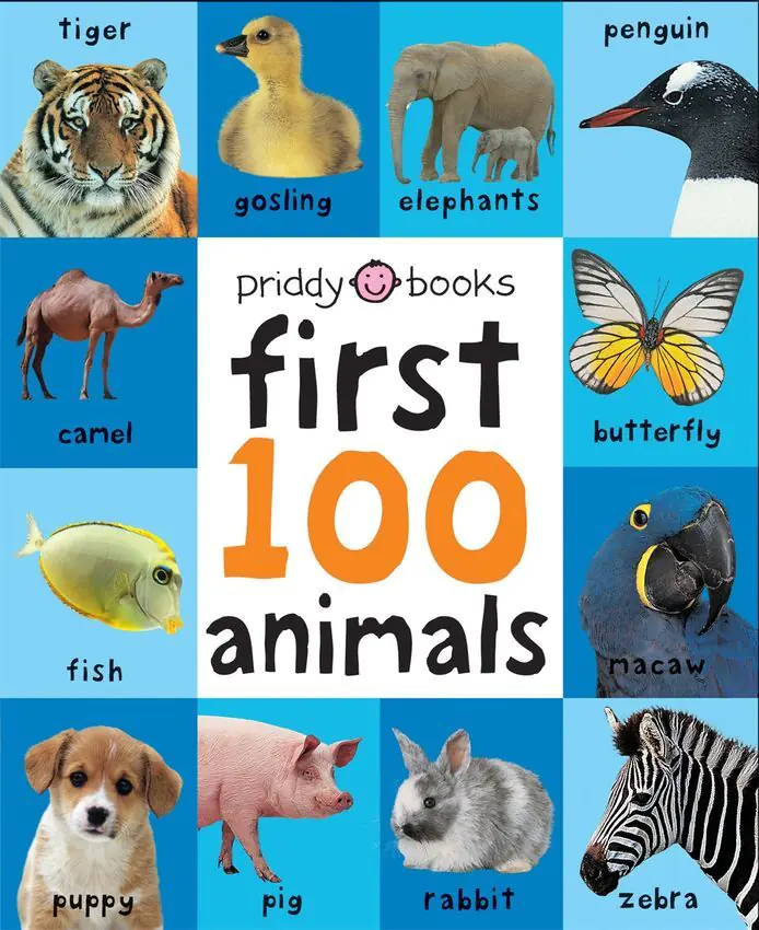 Książka - First 100 Animals