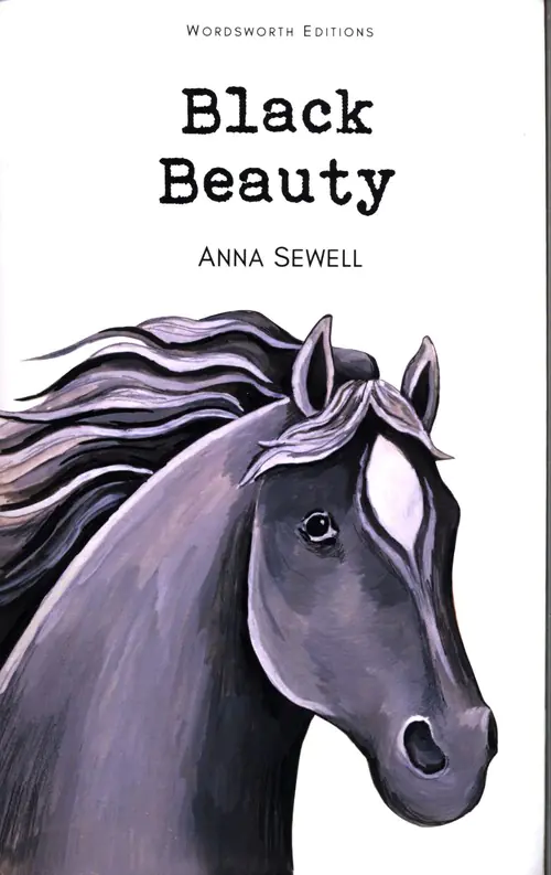 Książka - Black Beauty