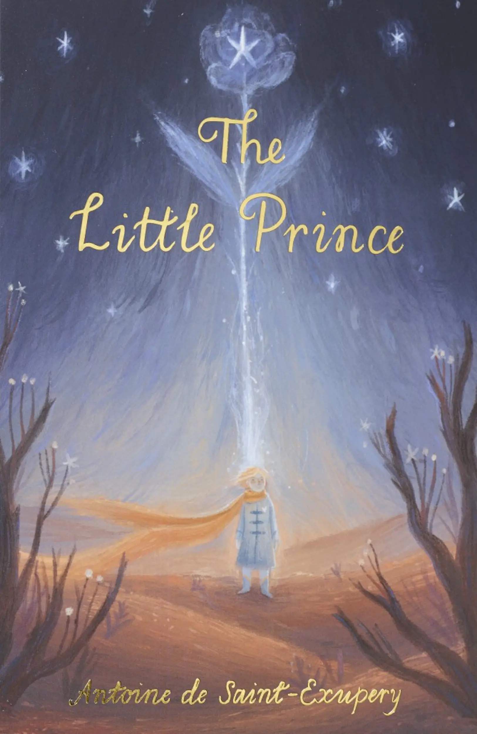 Książka - The Little Prince