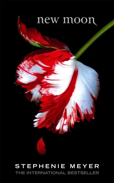 Książka - New moon