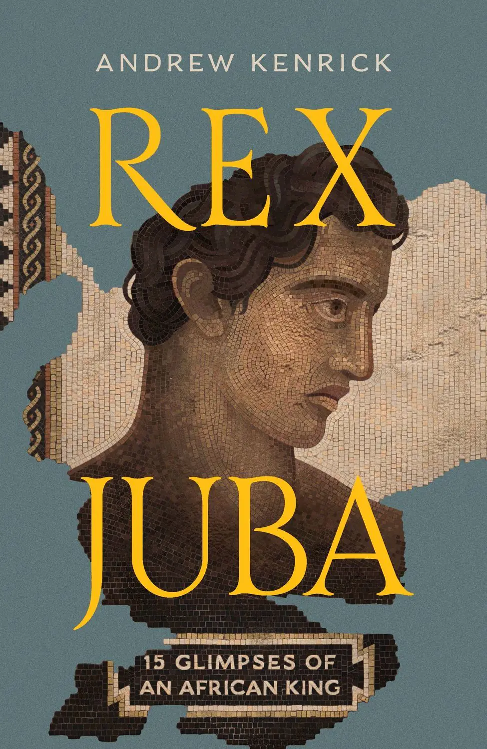 Książka - Rex Juba