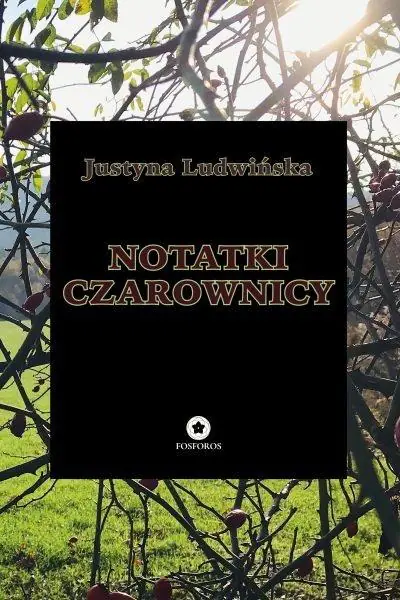 Książka - Notatki czarownicy