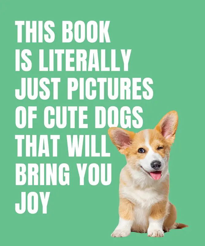 Książka - This Book is Literally Just Cute Dogs That Will Bring You Joy