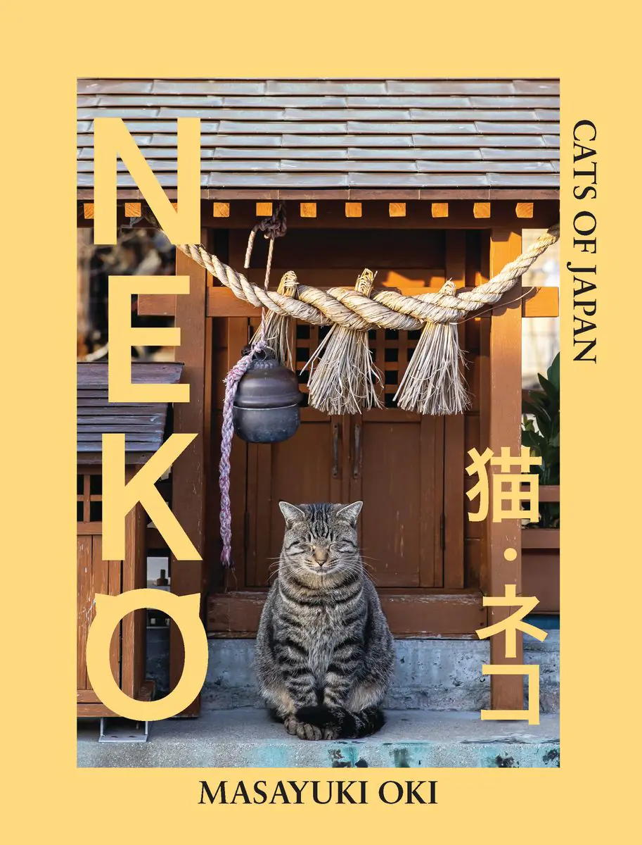 Książka - Neko