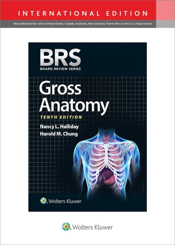 Książka - BRS Gross Anatomy