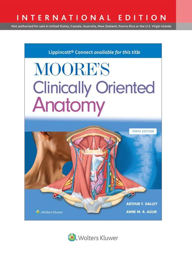 Książka - Moore's Clinically Oriented Anatomy
