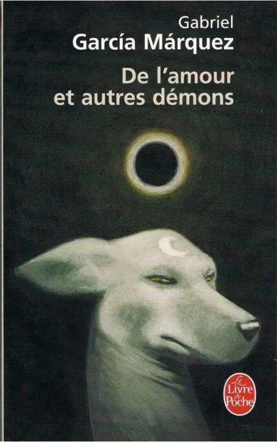 Książka - Amour et autres demons