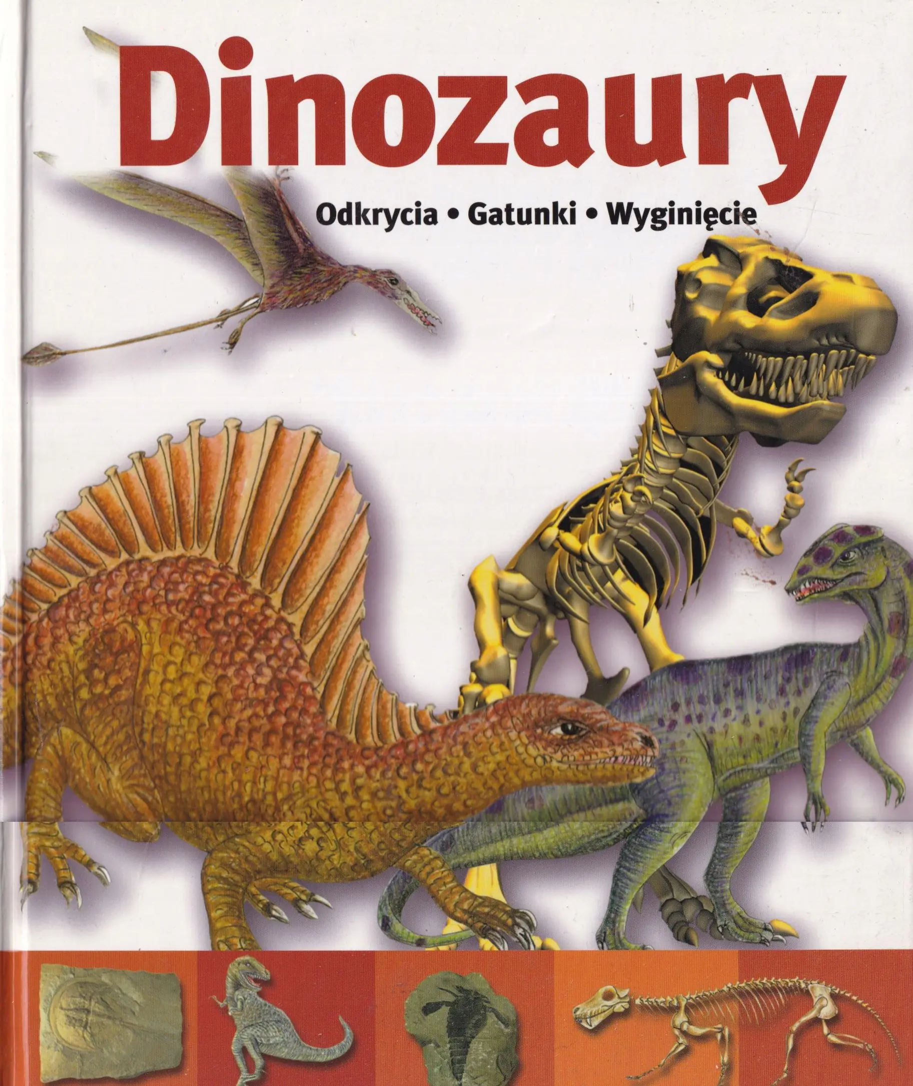 Książka - Dinozaury. Odkrycia, gatunki, wyginięcia