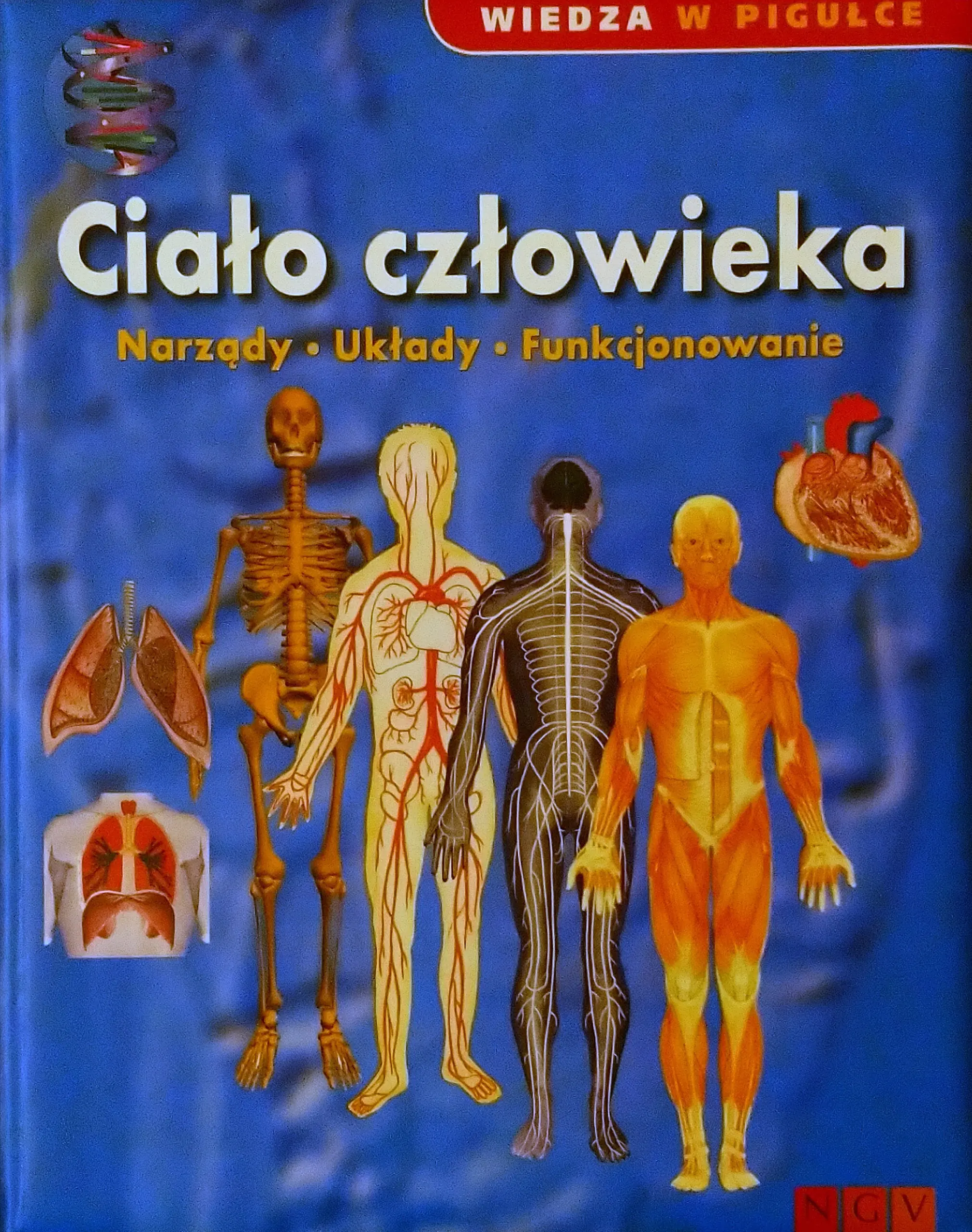 Ciało człowieka