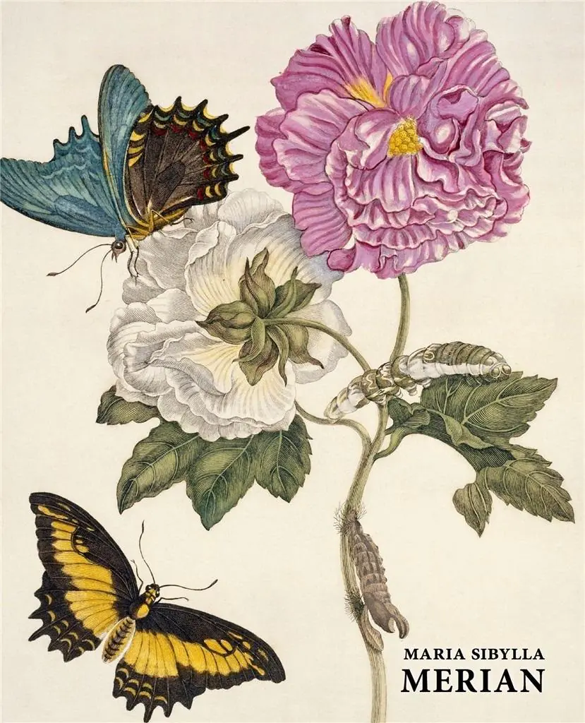Książka - Maria Sibylla Merian