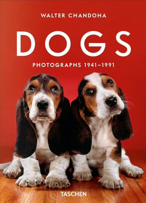 Książka - Dogs. Photographs 1941–1991