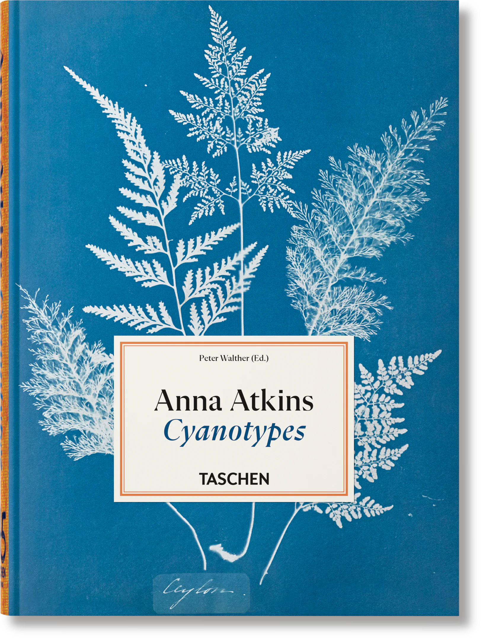 Książka - Anna Atkins. Cyanotypes
