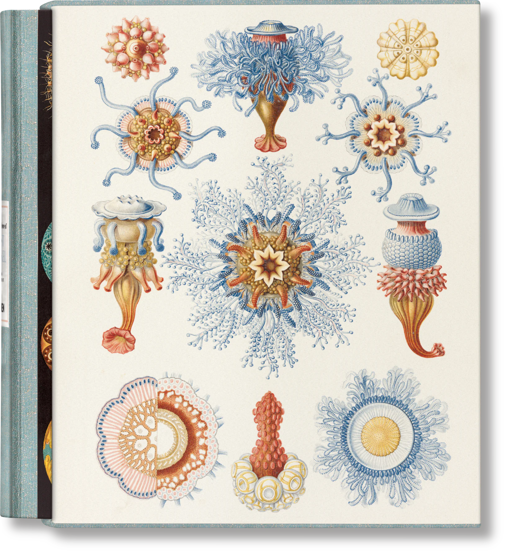 Książka - The Art and Science of Ernst Haeckel