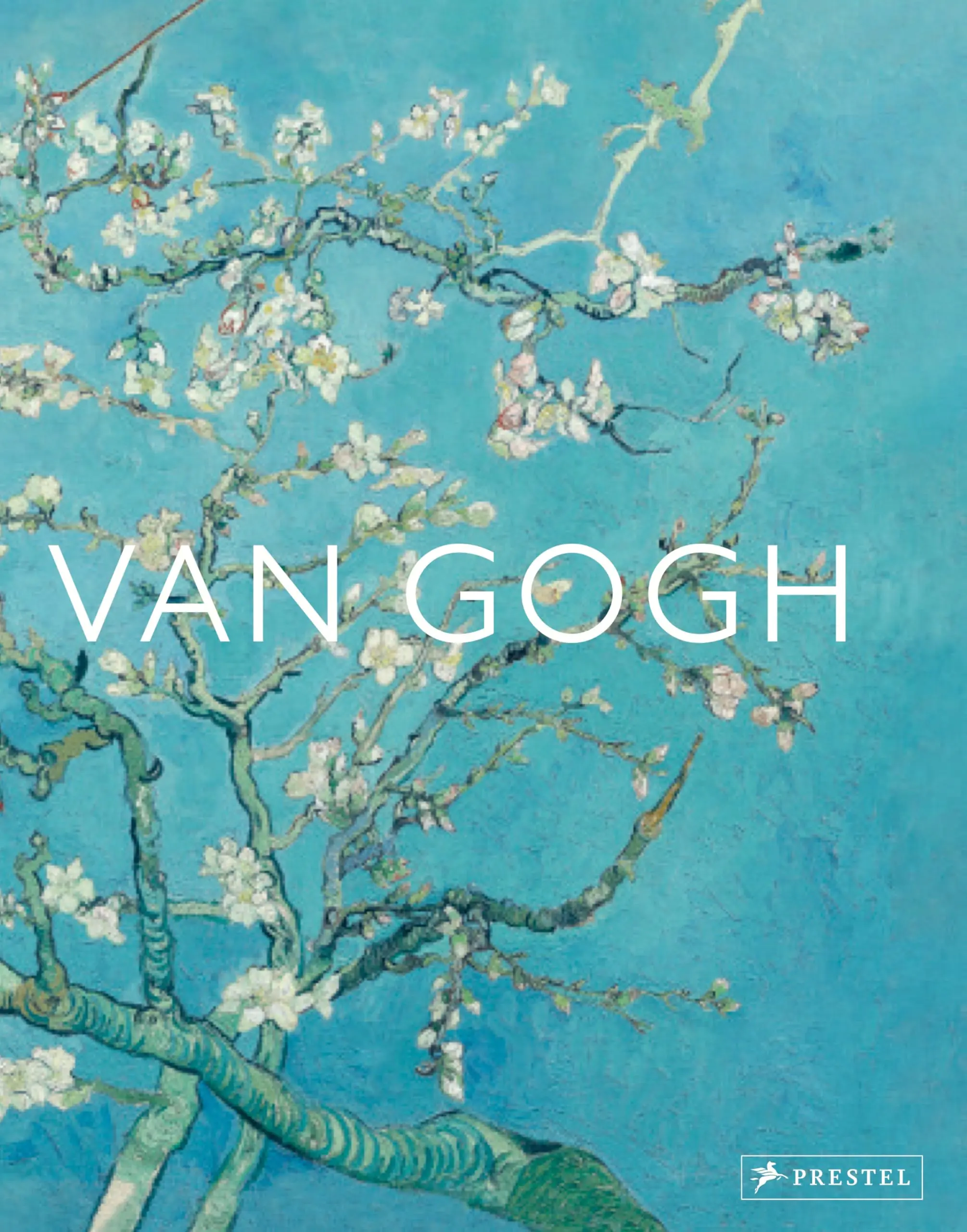 Książka - Van Gogh. The bigger picture
