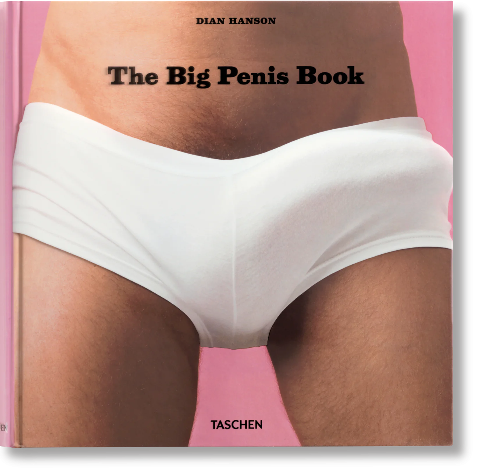 Książka - The Big Penis Book