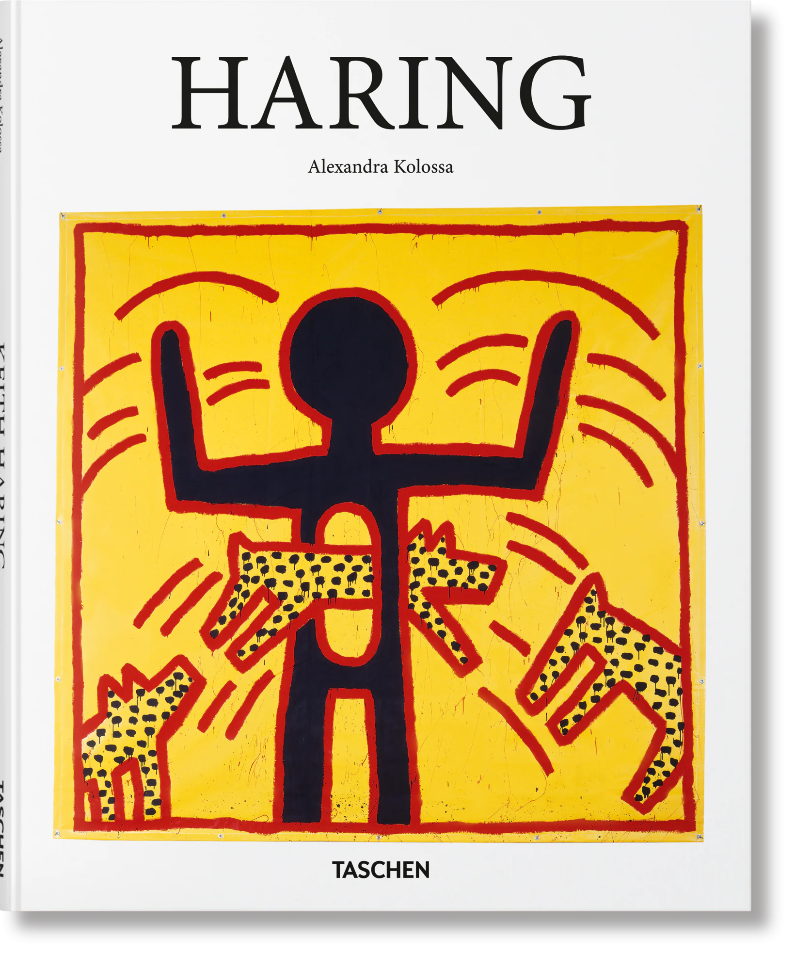 Książka - Haring