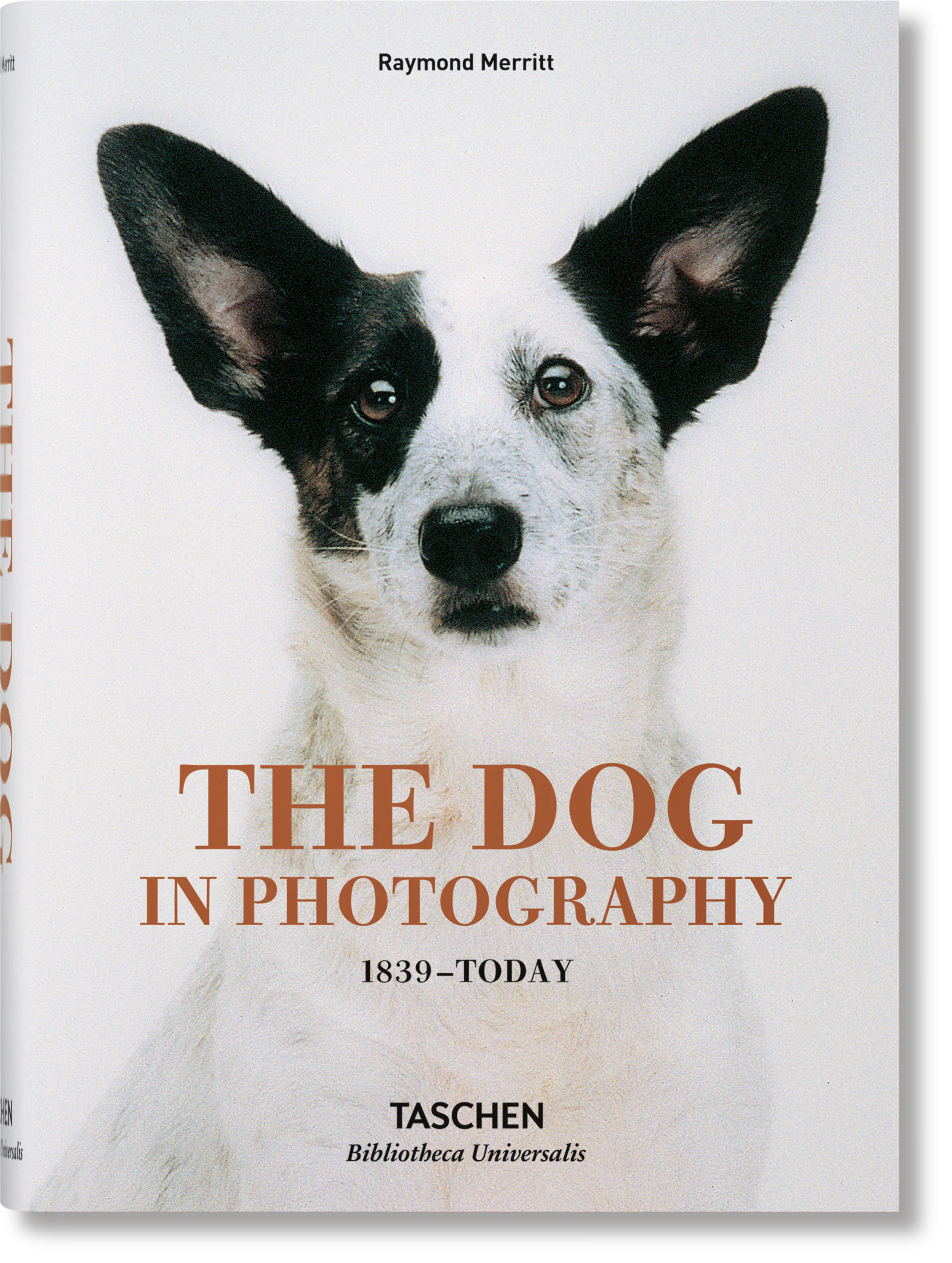 Książka - The Dog in Photography 1839-Today