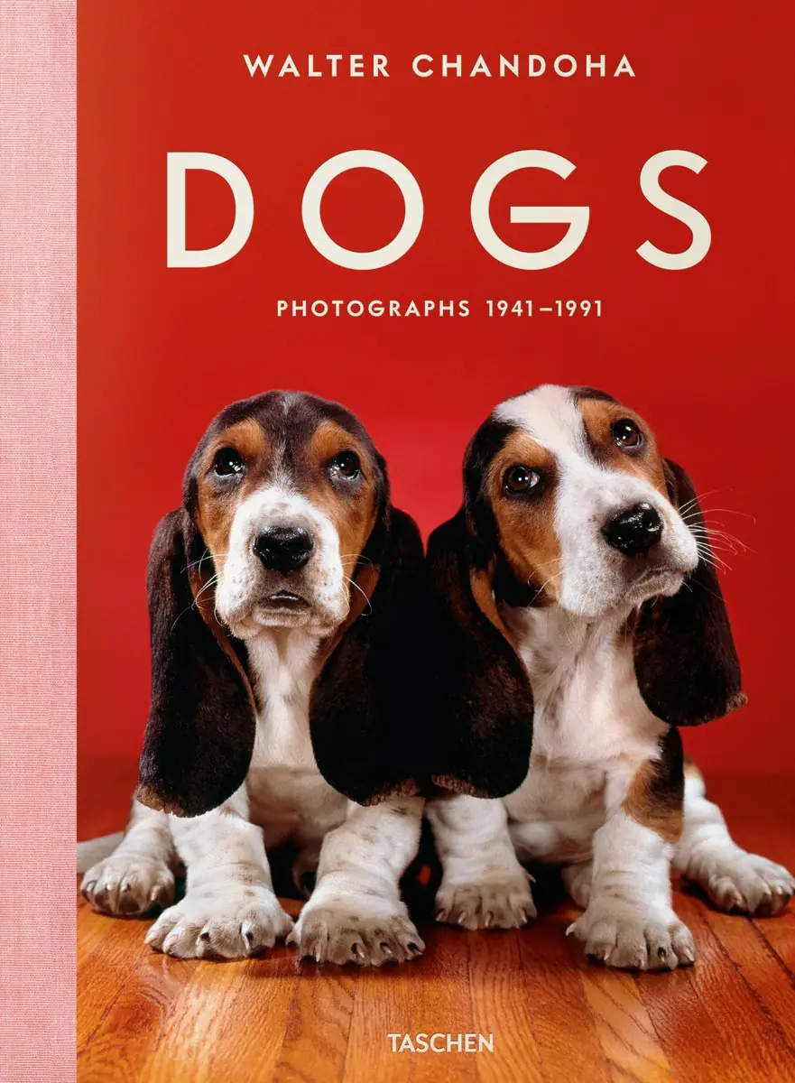 Książka - Dogs photographs 1941-1991