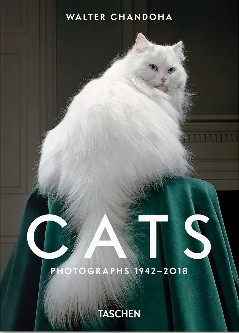 Książka - Walter Chandoha. Cats. Photographs 1942-2018