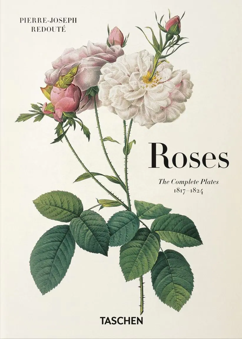 Książka - Roses