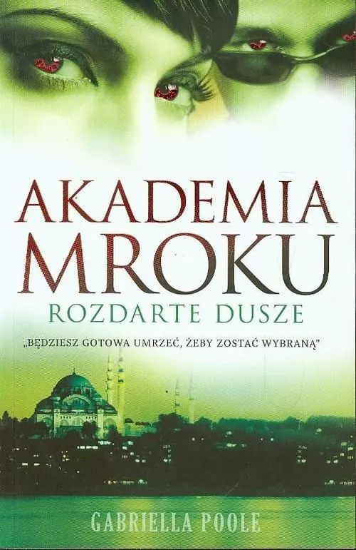 Książka - Akademia Mroku Rozdarte dusze