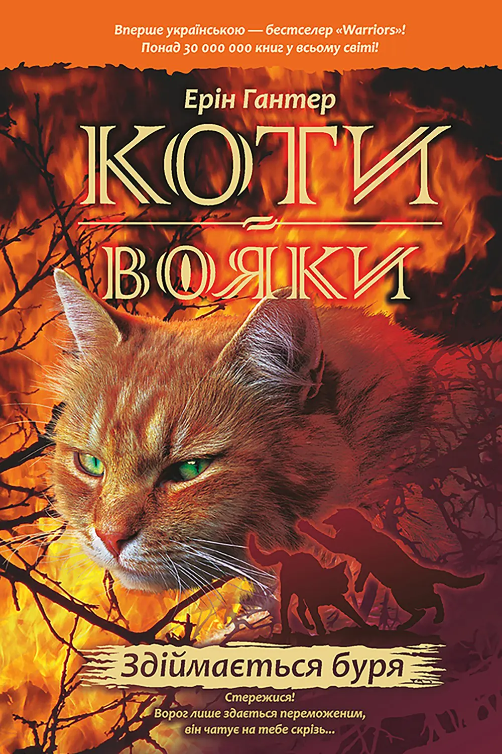 Książka - КОТИ-ВОЯКИ ЦИКЛ 1 КНИГА 4 ЗДІЙМАЄТЬСЯ БУРЯ / Wojownicy. Cisza przed burzą