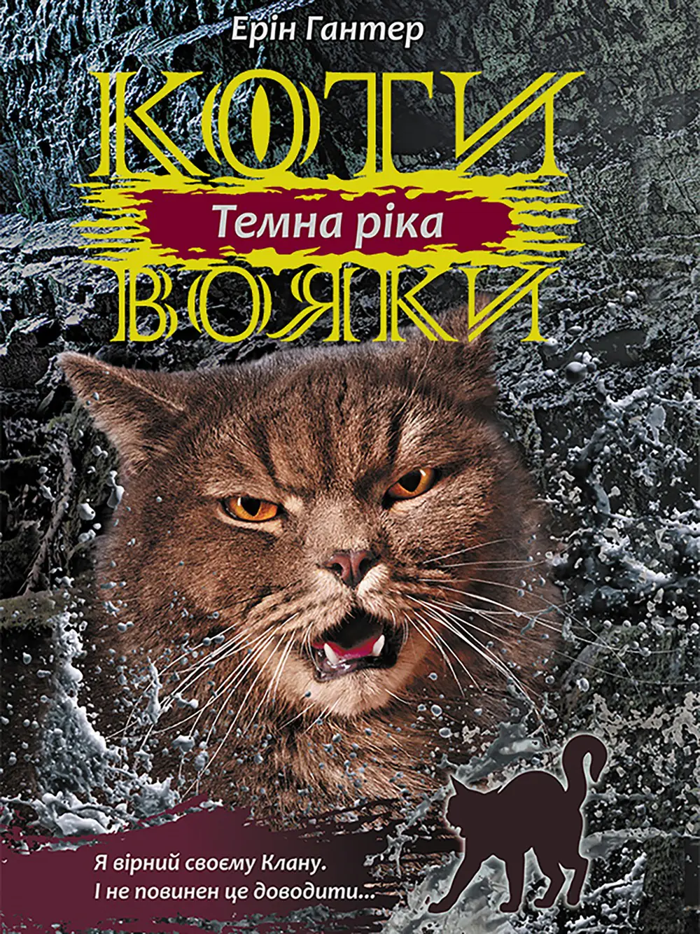 Książka - Коти-вояки цикл 3 книга 2 темна ріка / Wojownicy. Mroczna rzeka