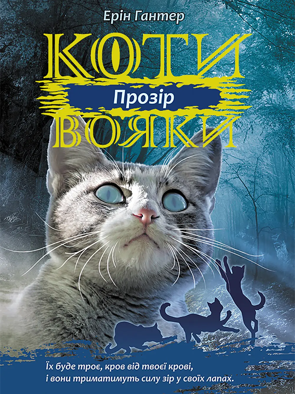 Książka - Коти-вояки цикл 3 книга 1 прозір / Widzenie. Wojownicy. Wersja ukraińska
