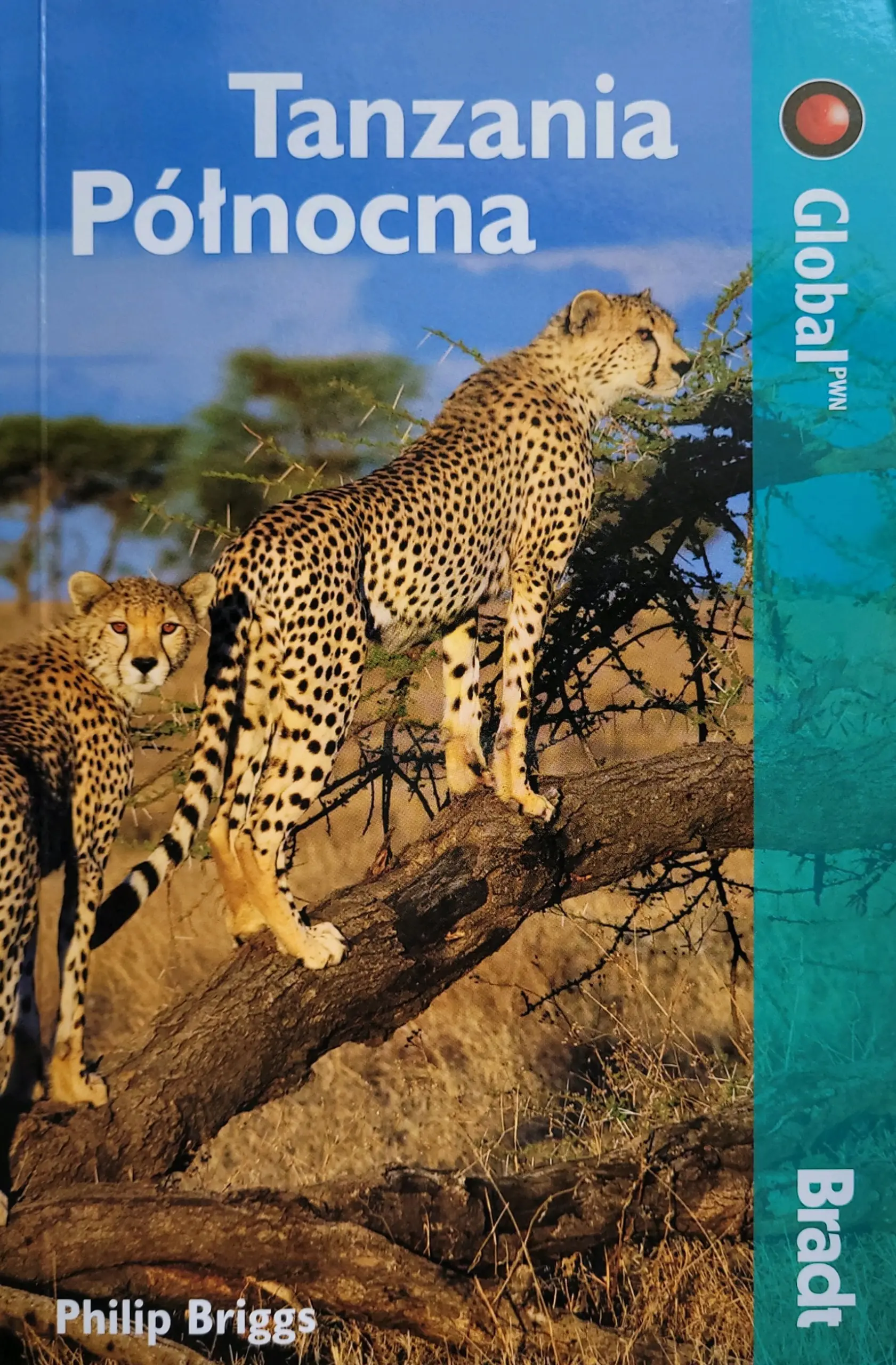 Książka - Bradt Tanzania Północna Przewodnik
