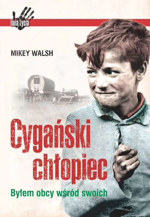 Książka - Cygański chłopiec