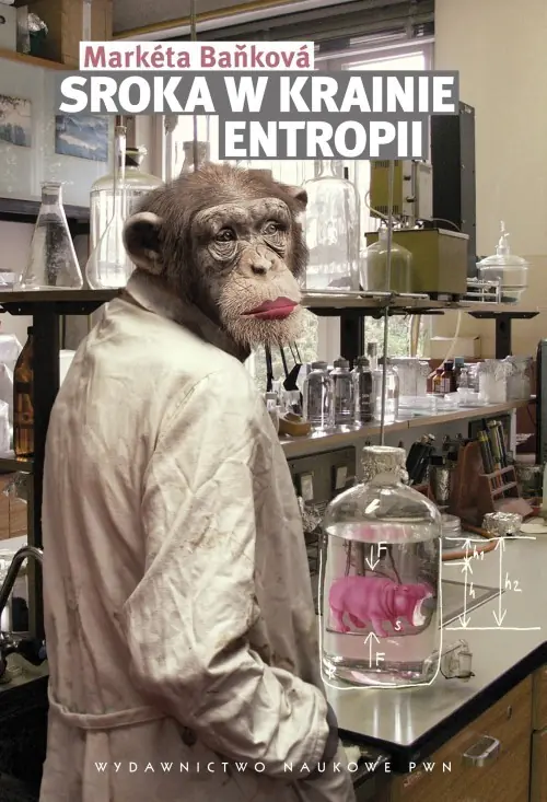 Książka - Sroka w krainie entropii