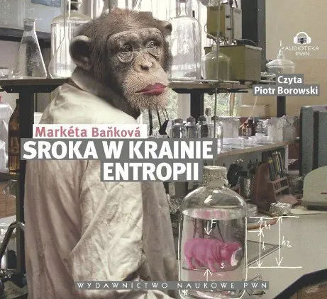 Książka - Sroka w krainie entropii