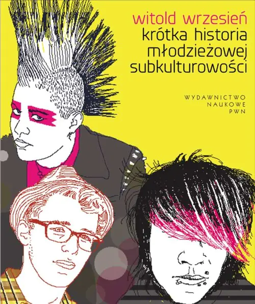 Książka - Krótka historia młodzieżowej subkulturowości