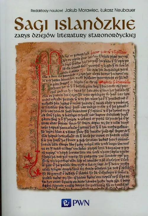 Książka - Sagi islandzkie. Zarys dziejów literatury staronordyckiej