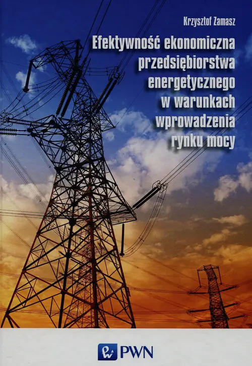 Książka - Efektywność ekonomiczna przedsiębiorstwa energetycznego w warunkach wprowadzenia rynku mocy